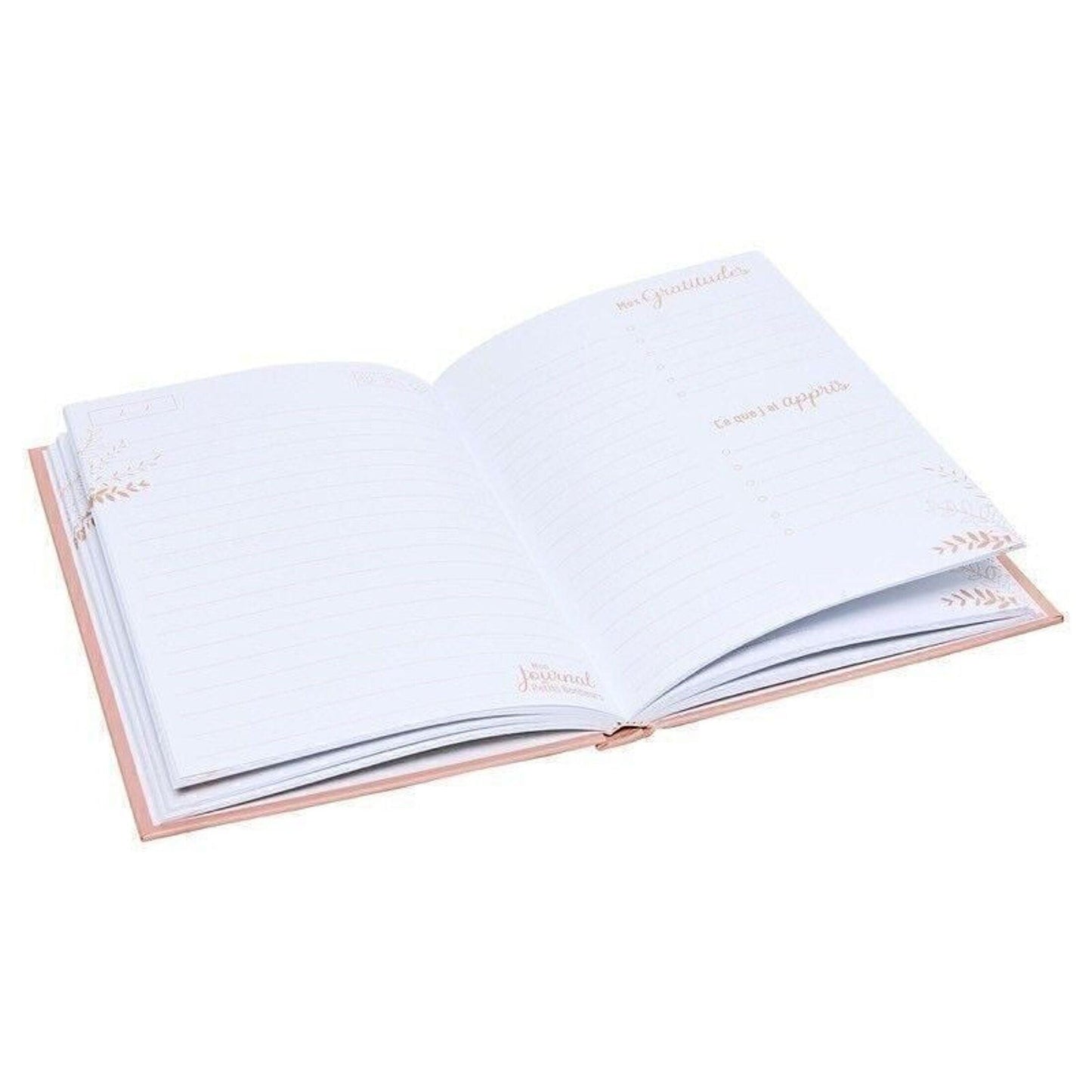 Mon journal des petits bonheurs - Capturez et célébrez les moments positifs de votre vie - Organisatoo