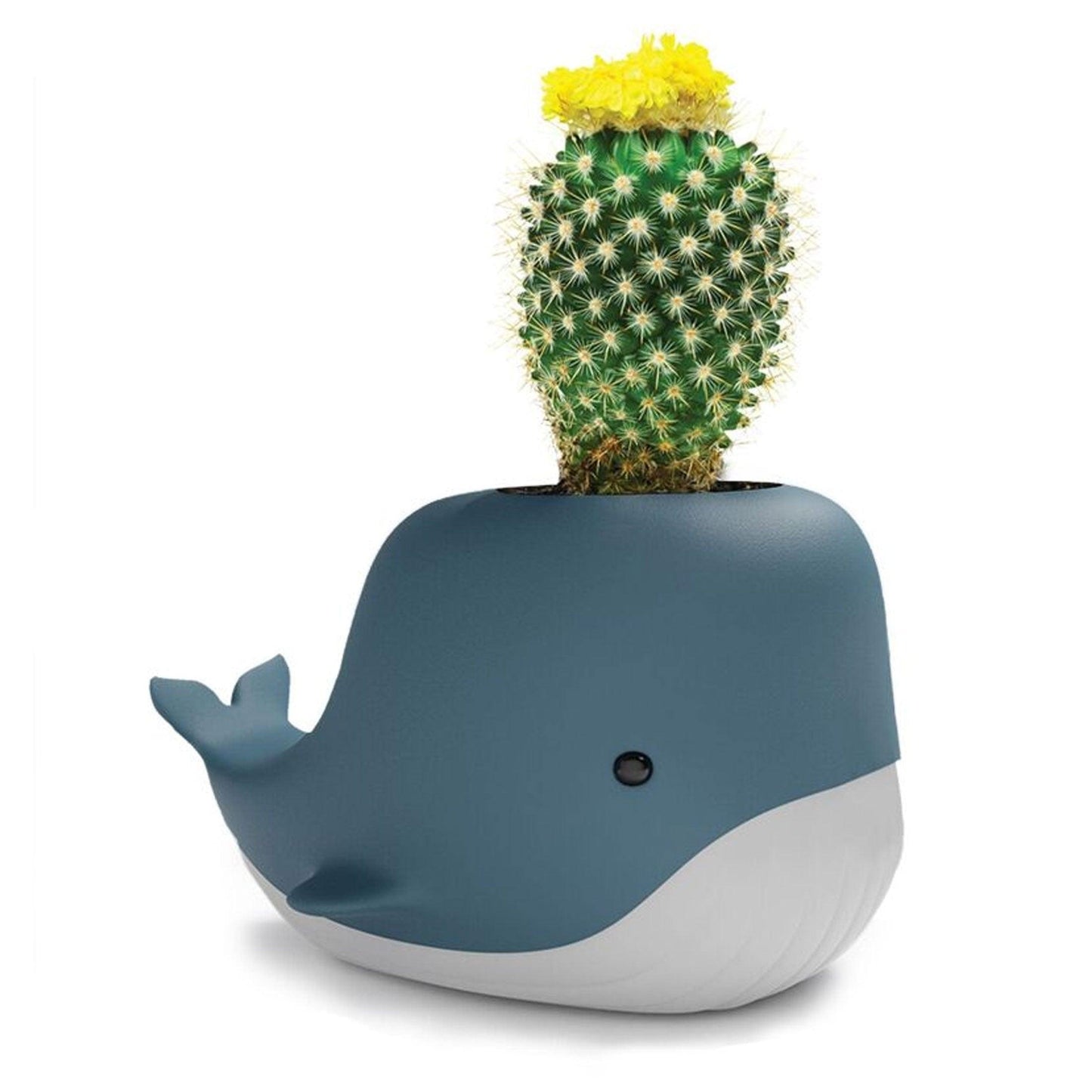 Organisateur Bureau - porte crayons Baleine - Organisatoo